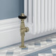 FAR-AG-OEB-LS03 - Faringdon Traditional Thermostatic Radiator Valve Old English Brass (Angled TRV) FAR-AG-OEB-LS03 - Faringdon Traditional Thermostatic Radiator Valve Old English Brass (Angled TRV)